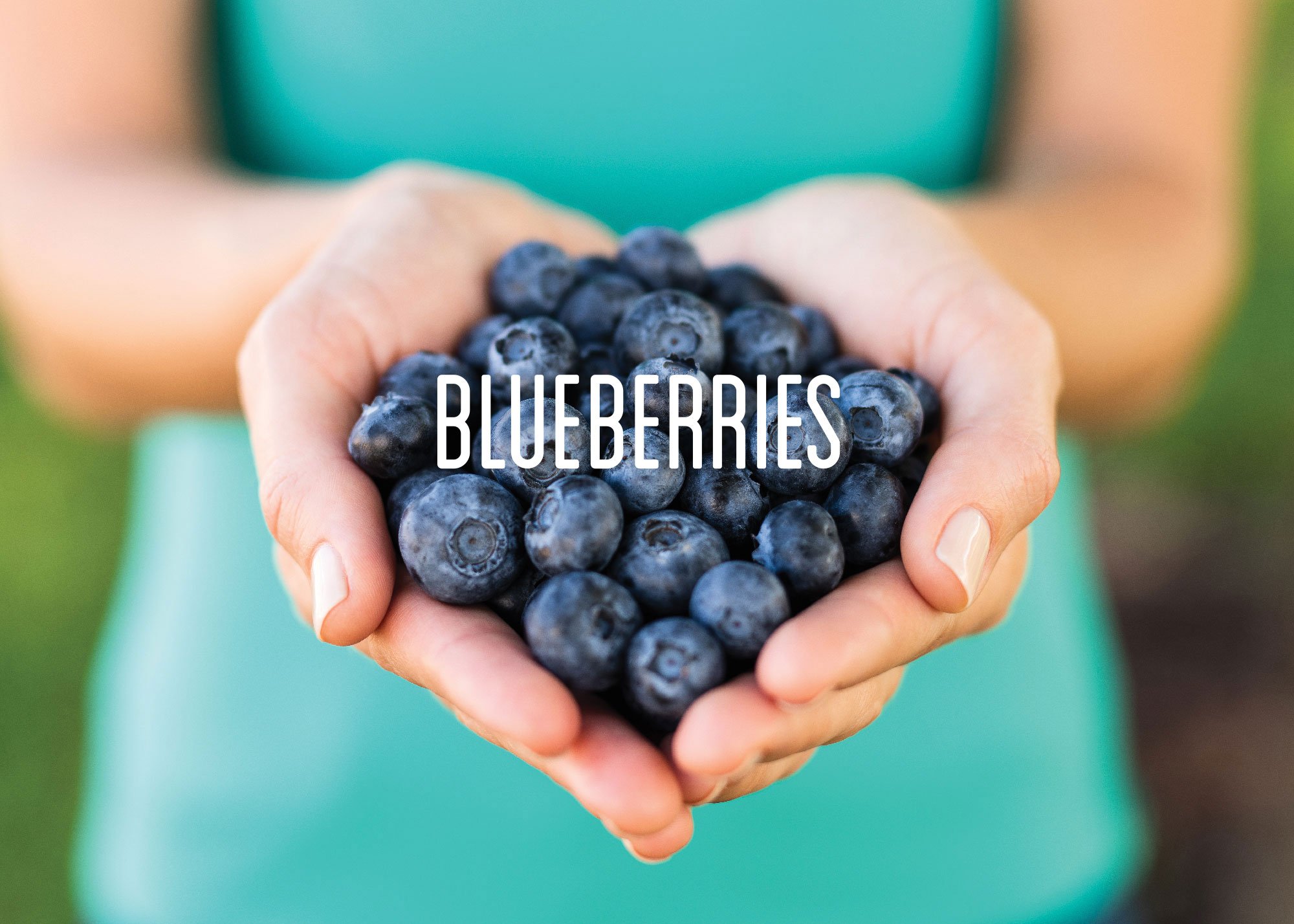 Blueberries